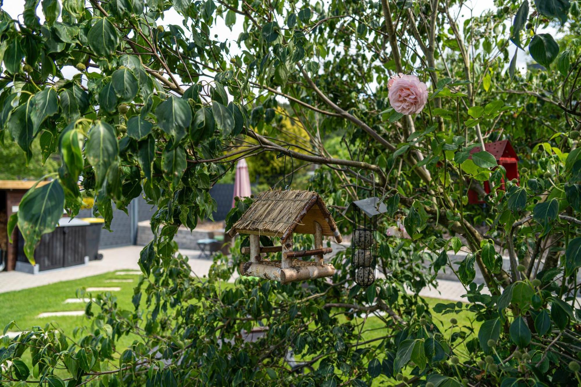 Wolke Siegen Apartment Ngoại thất bức ảnh